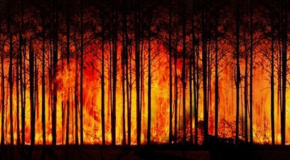 Incendi in amazzonia  pericolosamente vicini al punto di non ritorno