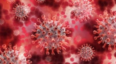 Coronavirus  covid 19  oms  salute  sanita
