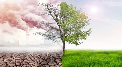 Imprese ridurre governare impatto del cambiamento climatico istock 1142758664