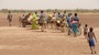 Migration 2698946 640