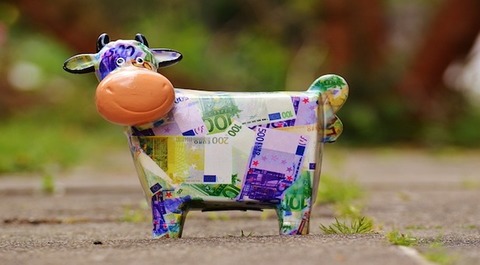 Cow 1357210 640